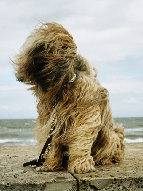 Ta-yu an der Ostsee, Sommer 2003
